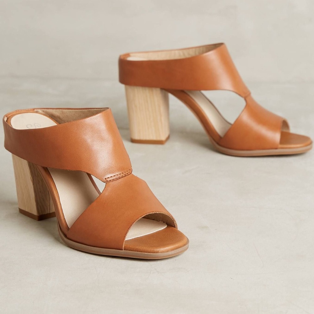 Seychelles Detour Mules